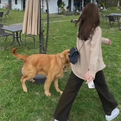 抱得美人归